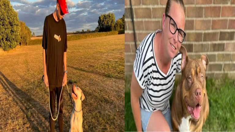 Controversial-Ban-on-American-Bully-XLs-Sparks-Heated-Debate-Breed-or-Owner-Responsibility-infopulselive