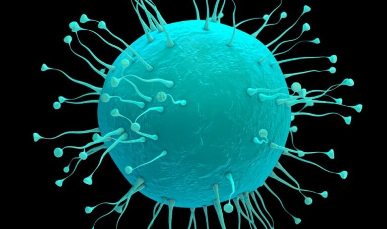 Nipah Virus Outbreak Update: New Cases Emerge in Kerala, India