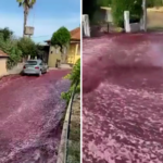 Red-Wine-Deluge-600,000-Gallons-Flood-Portuguese-Village-Streets-infopulselive
