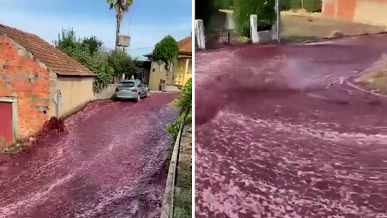 Red Wine Deluge: 600,000 Gallons Flood Portuguese Village Streets