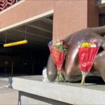 Tragic-Loss-Strikes-JMU-Community-Freshman-Bernard-Stapelfeld-Remembered-infopulselive